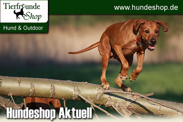 Hundeshop